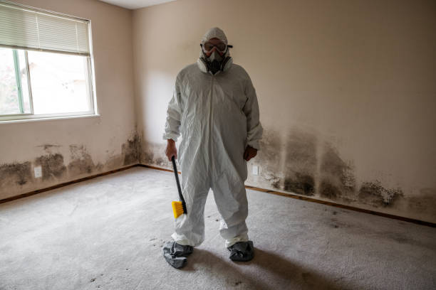 Best Health and Safety Mold Remediation in Council Grove, KS